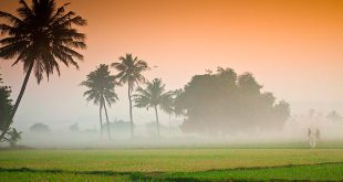 भारत देश हमारा है