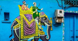 भारत देश हमारा है यह