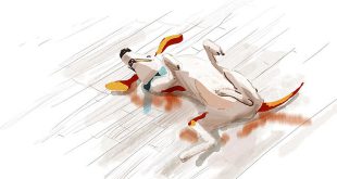 हंगामा: कुमार विश्वास