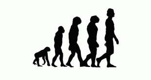 If monkeys have evolved into human beings, then how are some monkeys still around?