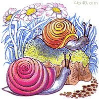 Jimmy The Snail