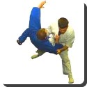 What is the origin of judo?