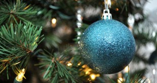 Last Christmas Tree - Howard D. Fencl