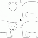 Learn to draw bear