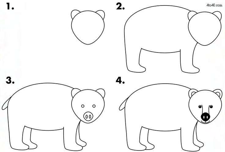 Learn to draw bear - Kids Portal For Parents