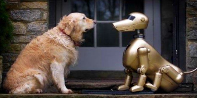 Robotic pets may replace real ones