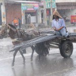 A man rides his horse cart in the pouring rain in Amritsar on June 14, 2015. Rains lashed many parts of north India, providing respite from the scorching summer sun