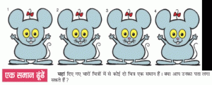Find the similar mouse