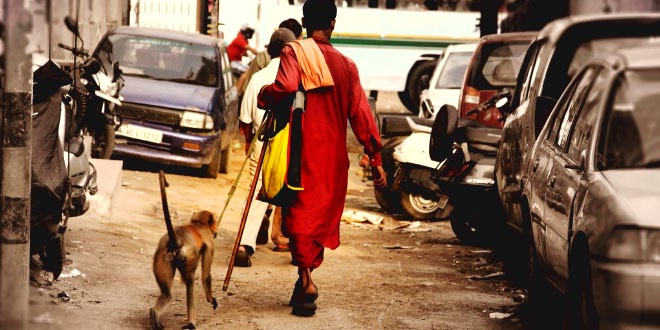 बंदर आया - अयोध्या सिंह उपाध्याय ‘हरिऔध’