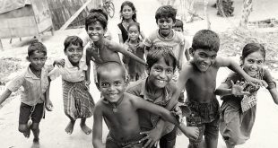 इतने ऊँचे उठो - द्वारिका प्रसाद माहेश्वरी