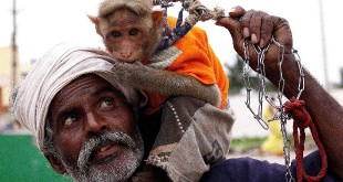 मदारी आया