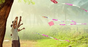 पतंगों का मौसम - शिव मृदुल