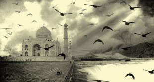 Tajmahal - Krishna Kumar Yadav