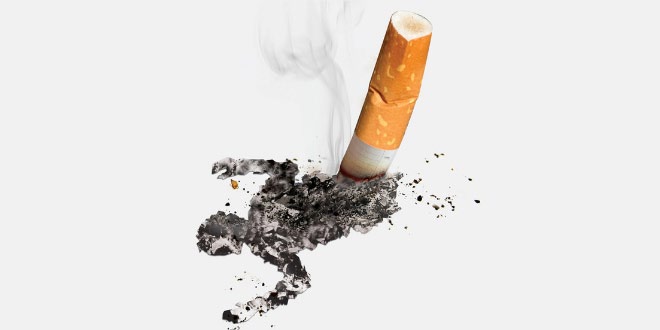 तम्बाकू पर उद्धरण