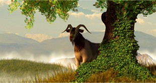 होशियार बकरा