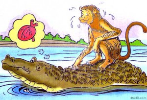Monkey in River