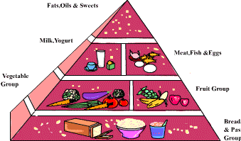 Nutrients Pyramid