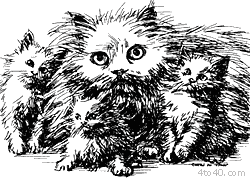 Pus and His Kittens