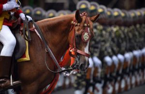 Mounted police take part in a rehearsal for Independence Day celebrations in Chennai on August 12, 2016, ahead of Independence Day on August 15