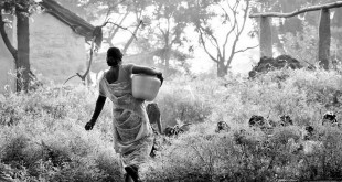 गाँव जा कर क्या करेंगे - रामकुमार चतुर्वेदी ‘चंचल’