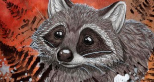 How To Draw Racoon