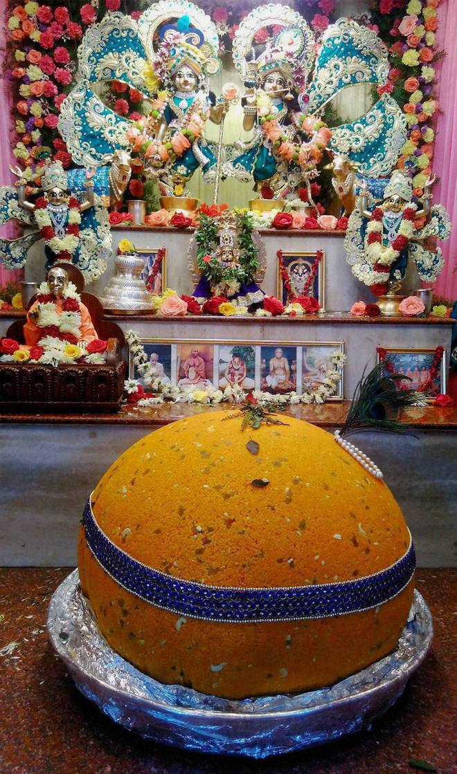 A laddu weighing 121 kg offered to Lord Krishna on Janmashtami, a festival that marks the birth of Hindu Lord Krishna, at the Iskcon temple in Hubballi on September 5, 2015
