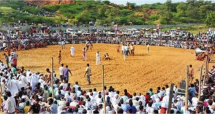 Shri Baba Bisa Bhakt Puranmal Mandir Mela, Kasan Village, Gurgaon