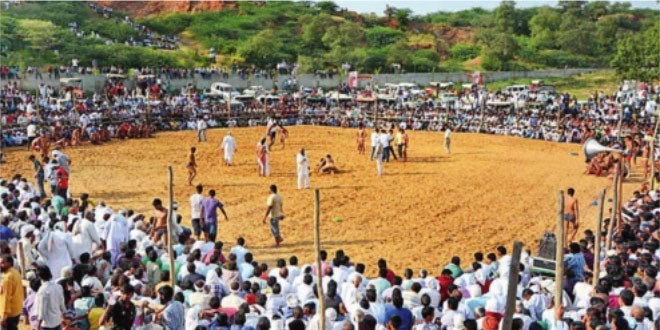 Shri Baba Bisa Bhakt Puranmal Mandir Mela, Kasan Village, Gurgaon