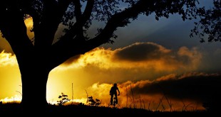 यदि - ओम प्रकाश बजाज