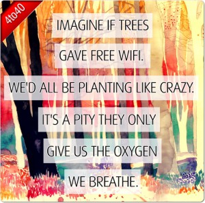 Imagine If Trees Gave Free WIFI