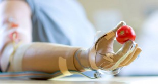 Artificial skin that can feel sensation - developed