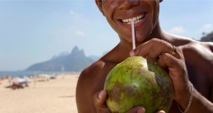 नारियल - ओम प्रकाश बजाज