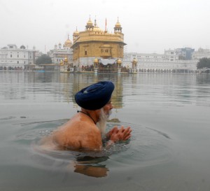 A Sikh devotee takes a dip at the Golden Temple on the birth anniversary Guru Gobind Singh in Amritsar on January 16, 2016