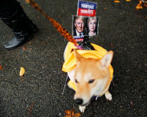 A dog dressed as Fox News channel with the pictures of Democratic US presidential nominee Hillary Clinton (R) and Republican US presidential nominee Donald Trump takes part in the annual Halloween Dog Parade at Manhattan’s Tompkins Square Park in New York, US, on October 22, 2016.