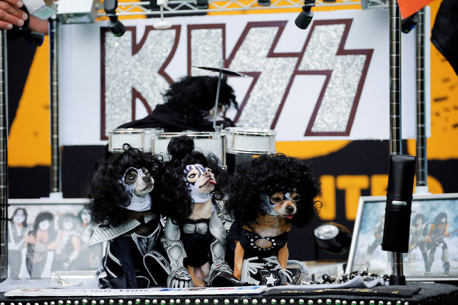 Dogs dressed up like the rock band ‘Kiss’ take part during the annual Halloween Dog Parade at Manhattan’s Tompkins Square Park in New York, US, on October 22, 2016.