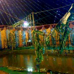 Holy Pond for Chhath Puja