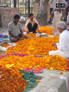 Workers preparing fresh marygold flowers garlands near DDA Sports Complex, Rohini, New Delhi