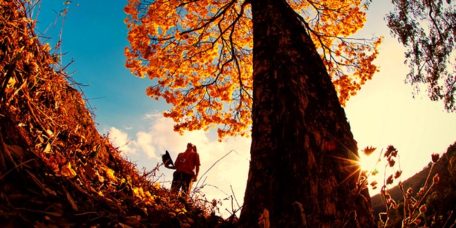 लहर सागर का नहीं श्रृंगार - हरिवंशराय बच्चन