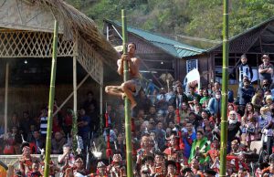 A Naga tribe member climbs a bamboo pole greased with animal fat on the third day of the annual Hornbill Festival at Kisama, some 15 km from Kohima, Nagaland, on December 3, 2016.