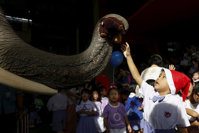 A child receives a puppet from an elephant as they attend a Christmas festival in a primary school in Ayutthaya, Thailand, on December 24, 2015