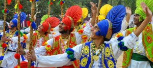Artists perform bhangra during the Chandigarh Carnival at Leisure Valley in Sector 10, Chandigarh, on November 27, 2015.