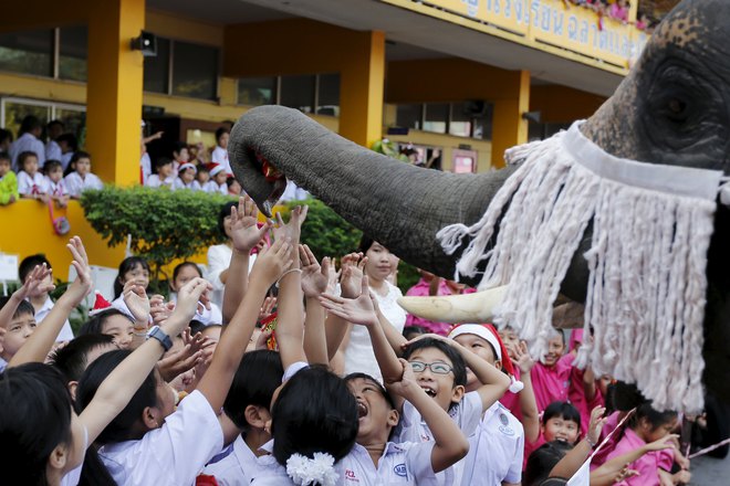 Children receive a puppet thrown by an elephant as they attend a Christmas festival in a primary school in Ayutthaya, Thailand, on December 24, 2015