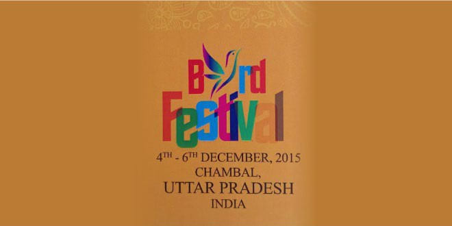 International bird festival at Agra