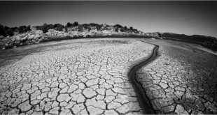 कब बरसेगा पानी – बेकल उत्साही