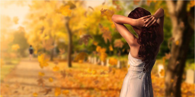 मैं फिर अकेला रह गया - दिनेश सिंह