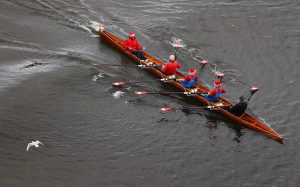 A seagull passes a boat with rowers wearing Santa Claus hats on river Main in Frankfurt, Germany, December 11, 2016
