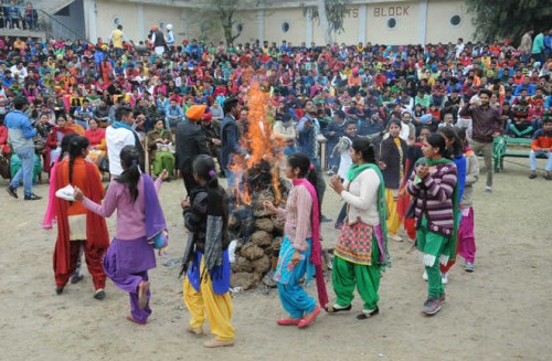 Student and staff member celebrate Lohri on the campus of Government Rajindra College Bathinda