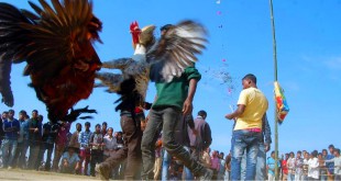 Assam readies for feasting festival Magh Bihu