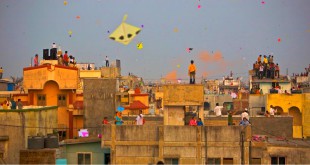 Charkhas on roads, kites in the skies of Gujarat