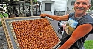 Largest collection of peach pits: Joe Resendes breaks Guinness World Records record